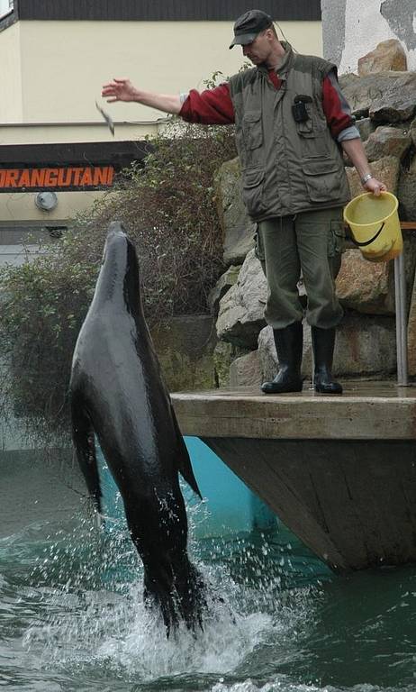 Štědrý den v ústecké zoologické zahradě. 