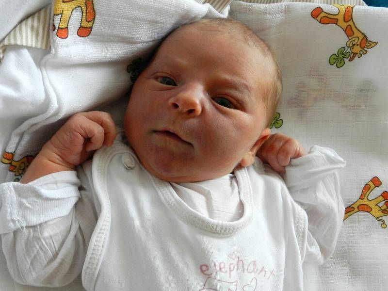 Eliška Došlová se narodila v ústecké porodnici 27. 5. 2014 (11.24) mamince Michaele Kudličkové z Ústí nad Labem. Měřila 51 cm, vážila 4,03 kg.