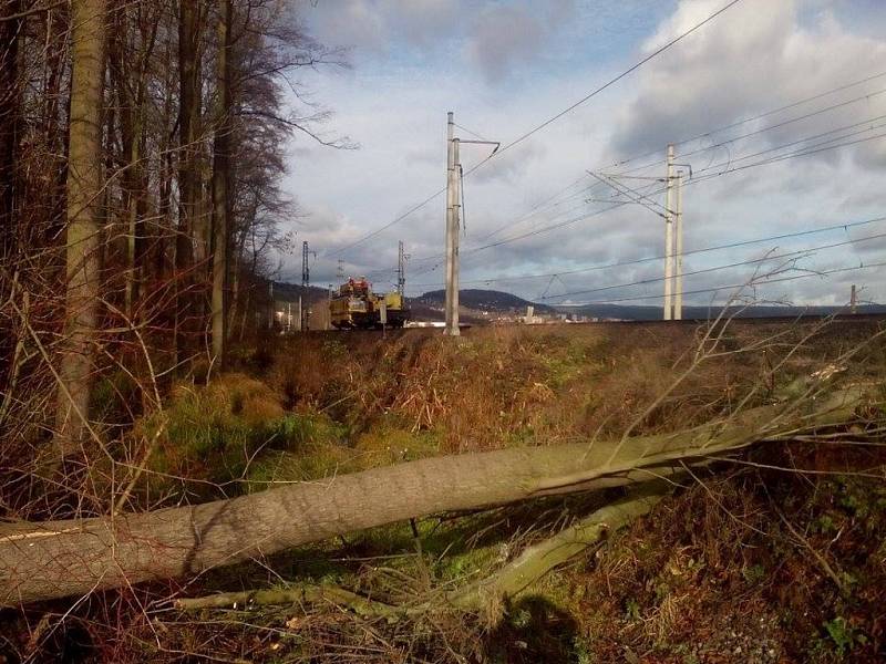 Spadlé stromy omezují provoz na trati do Děčína.