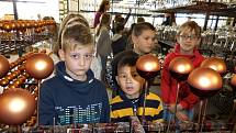Žáci z Petrovic zjistili, jak se ručně vyrábí vánoční ozdoby.