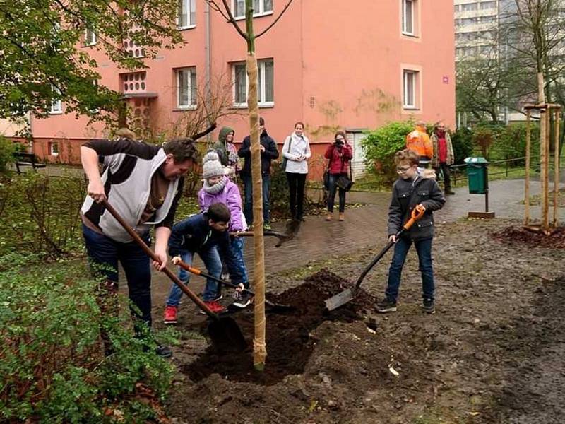 Na výsadbu nových javorů se přišly podívat i je pomoci zasadit děti z ústeckého domu dětí a mládeže. 