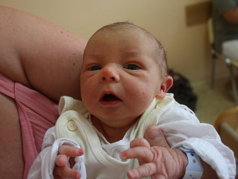Tobias Vítek se narodil Martině Vítkové z Lužice 28. srpna v 8.41 hod. v ústecké porodnici. Měřil 50 cm a vážil 3,17 kg.