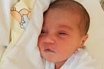 Charlotte Čonková se narodila v ústecké porodnici 20. 5. 2014 (15.10) mamince Charlottě Čonkové, měřila 50 cm, vážila 3,13kg.