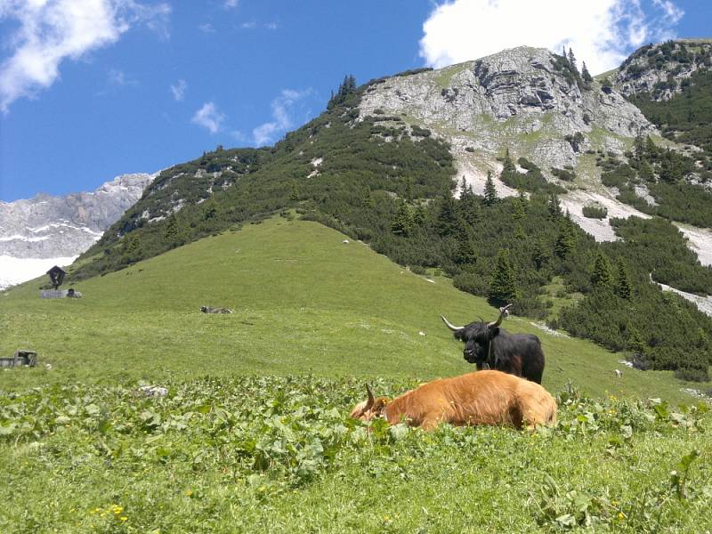 Olympijský region Seefeld. 