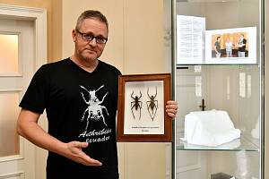 Ústecké muzeum získalo unikátní vzorek obří kobylky z Ekvádoru.