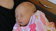 Anežka Kolková se narodila  v ústecké porodnici 15. 5. 2017 (8.13) Michaele Kolkové.  Měřila 48 cm, vážila 2,61 kg.