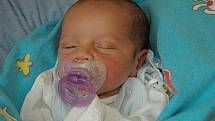 Patricie Stojková se narodila v ústecké porodnici 30. 4. 2014 (09.30) mamince Margitě Stojkové, měřila 43 cm, vážila 1,97 kg.