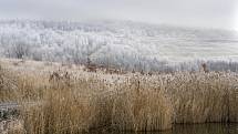 Jezero Milada v zimě