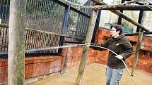 Také ZOO v Ústí nad Labem musí být kvůli opatřením proti šíření koronaviru uzavřena. Deník se tam vydal na návštěvu.