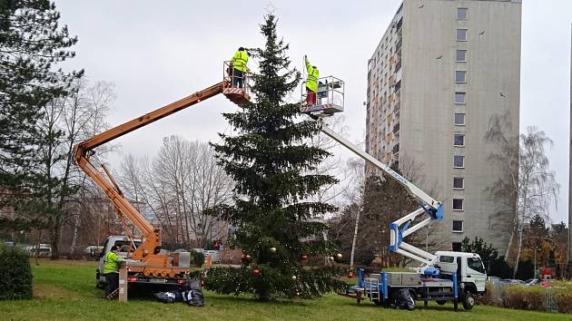 Instalace vánočního stromu na Severní Terase