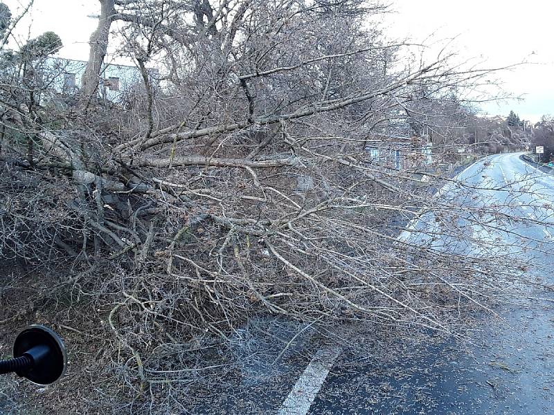 Hasiči zasahovali v pondělí 17. ledna kvůli větru například v Lovosicích a Nové Vsi v Horách