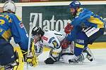 Hokejové utkání dne 3. dubna 2009: Ústí nad Labem - Mladá Boleslav.