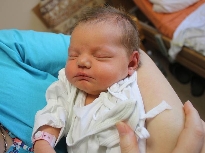 Rozálie Králová se narodila Monice Králové z Ústí nad Labem 30. března v 18.38 hod. v ústecké porodnici. Měřila 53 cm a vážila 3,75 kg