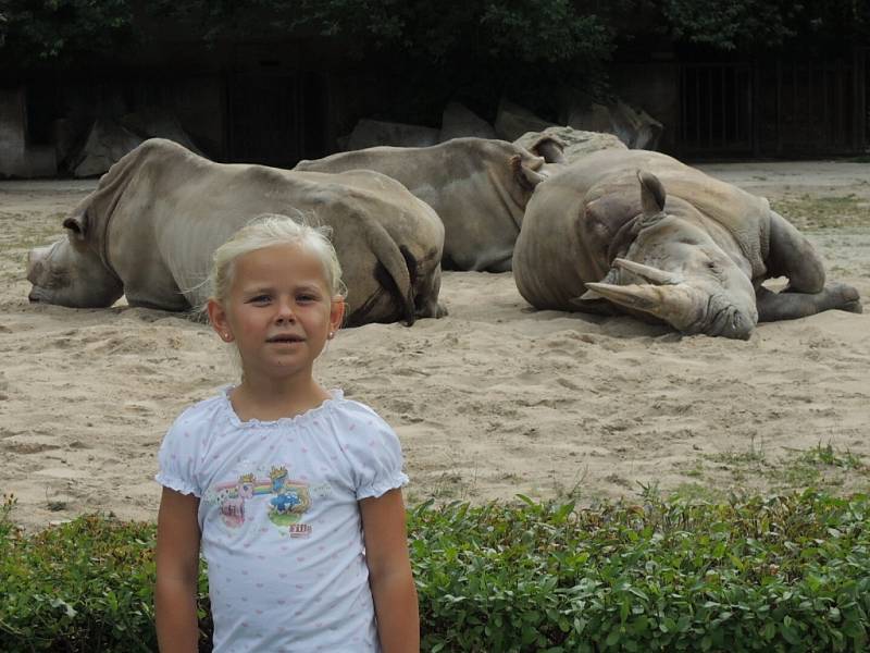  Za exotikou nemusíte jezdit daleko. Stačí vyrazit na safari do Dvora Králové. Na obrázku, který zaslala Vladimíra Hofmanová z Ústí nad Labem, je její vnučka Terezka.