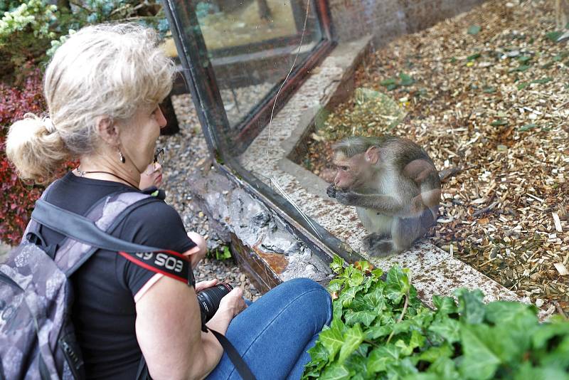 Ústecká zoologická zahrada uspořádala v sobotu 4. června dětský den.