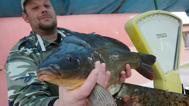 Čerstvé ryby budou na sádkách Českého rybářského svazu v Chabařovicích prodávat opět od soboty 20. prosince do úterý 23. prosince.
