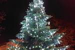Vánoční strom v Neštěmicích u radnice