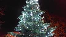 Vánoční strom v Neštěmicích u radnice