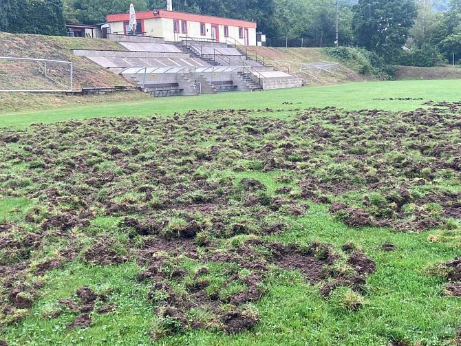 Takhle vypadá rozorané hřiště v Brné, kde řádili divočáci.