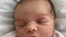 Nela Havlíčková se narodila 5. listopadu v 1.24 hodin mamince Lence Havlíčkové z Mostu. Měřila 48 cm a vážila 2,97 kg.