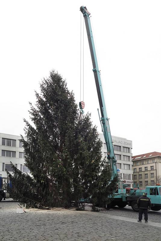 Instalace vánočního stromu na Mírovém náměstí v Ústí.
