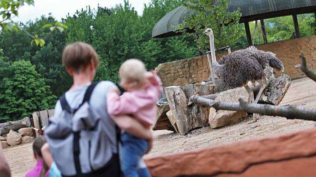 Zoologická zahrada v Ústí nad Labem