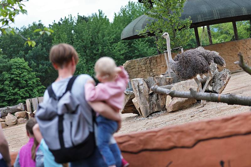 Ústecká zoologická zahrada uspořádala v sobotu 4. června dětský den.