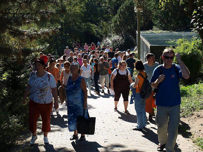 Den adoptivních rodičů v sobotu doplnila akce ke Světovému dni zvířat.