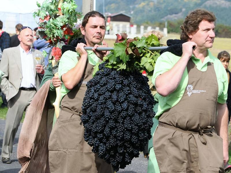 Třebívlické vinobraní 2012. 