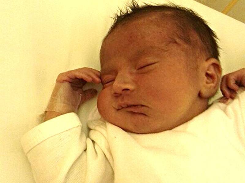 Romario Harvan se narodil v ústecké porodnici 28. 11. 2014 mamince Markétě Harvanové. Měřil 46 cm a vážil 3,08 kg.