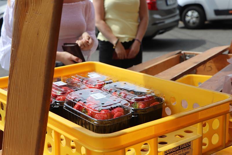 V ulicích Ústí nad Labem se začaly prodávat vyhlášené svádovské jahody.