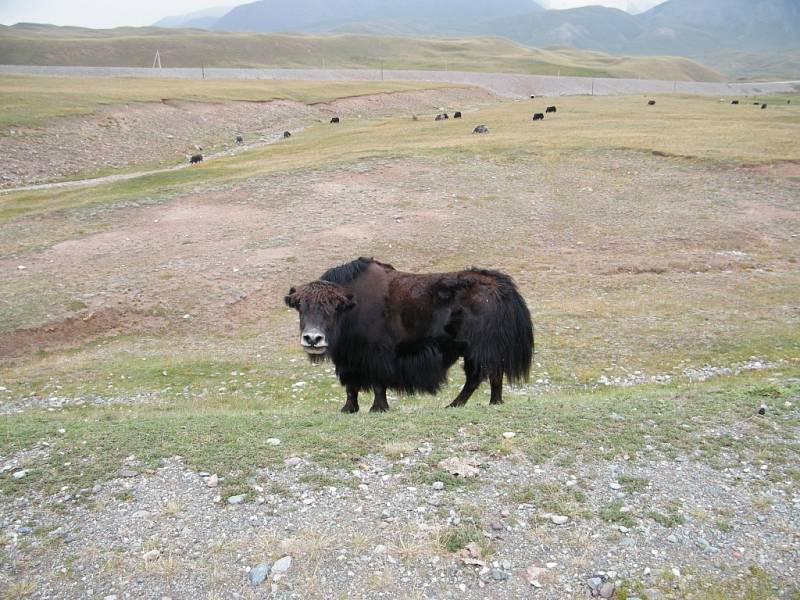 Dalibor Beneš přejel Pamir na koloběžce.