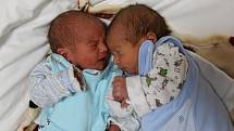 Jan a František Linkovi se narodili Kateřině Linkové z Chabařovic 21. října v 1.19 / 1.21 hod. Měřili 43 / 43 cm, vážili 1,99 / 1,15 kg