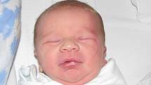 Tereza Low, porodila v ústecké porodnici dne 4. 11. 2010 (12.20) syna Davida Eduarda (46 cm, 3,22 kg).