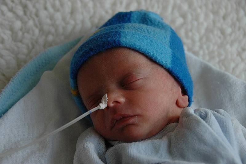 Zdenka Krausová, porodila v ústecké porodnici dne 22. 3. 2011 (18.17) syna Adámka (44 cm, 1,75 kg).