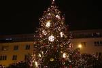 Vánoční strom na Lidickém náměstí v Ústí nad Labem