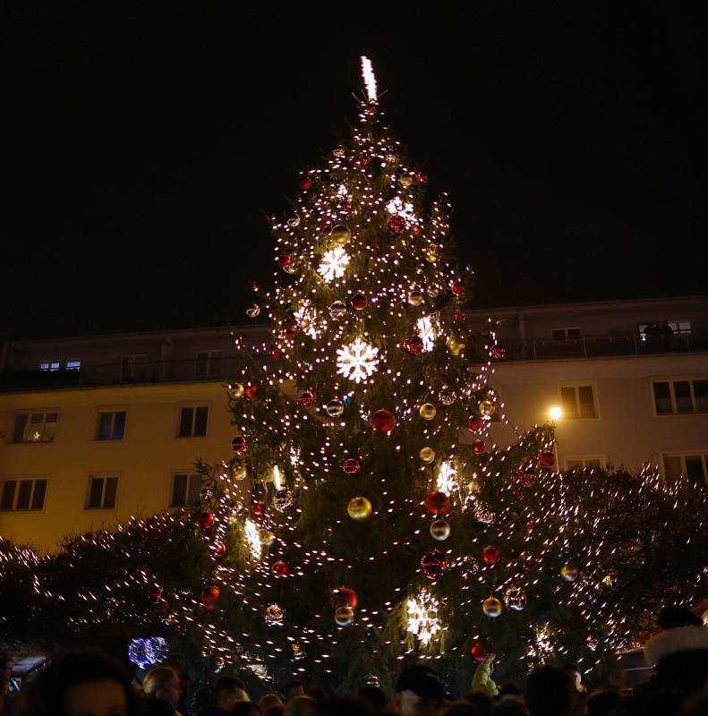 Vánoční strom na Lidickém náměstí v Ústí nad Labem