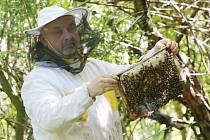 Škoda je téměř 160 tisíc korun. Včelaři zůstal na stanovišti pouze jeden úl s oddělkem.