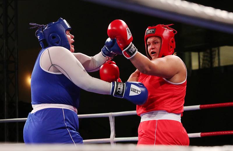 Velká cena Ústí nad Labem v boxu 2019.