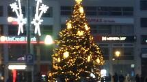 Vánoční strom na Mírovém náměstí v Ústí nad Labem