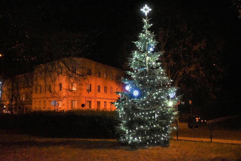 Vánoční stromy vyrostly na mnoha místech Ústecka. Tento je v parku v Neštěmicích.