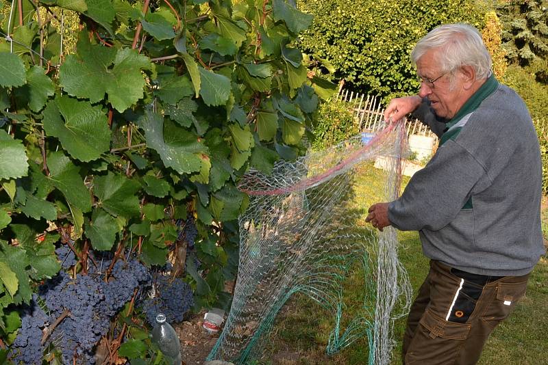 Jaroslav Puchta chce oživit vinařství v Újezdu