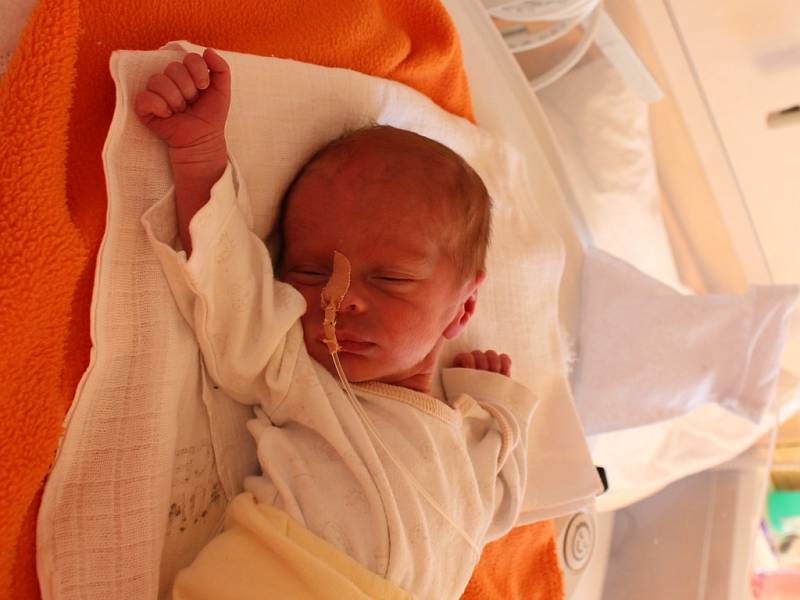 Tomáš Tschakert se narodil  v ústecké porodnici 22.8.2016 (18.02) Marii Tschakertové. Měřil 39 cm, vážil 1,67 kg.