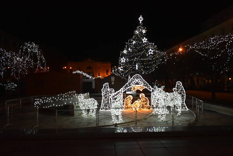 Vánoční stromy vyrostly na mnoha místech Ústecka. Tento je na Lidickém náměstí v Ústí nad Labem.