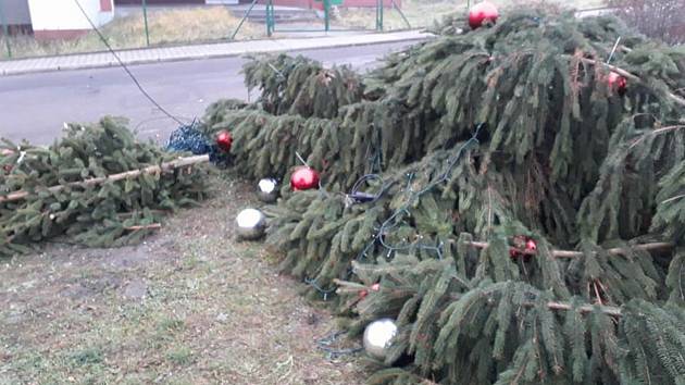 Neznámý vandal skácel v noci z úterý na středu vánoční strom ve Velkém Březně.