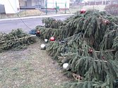 Neznámý vandal skácel v noci z úterý na středu vánoční strom ve Velkém Březně.