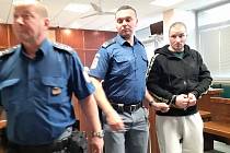 Krajský soud v Ústí poslal do vězení Pavla Michla za vraždu kovovou trubkou.