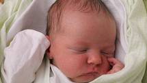 Jaroslav Svoboda se narodil v ústecké porodnici 21. 12. 2014 (10.37) mamince Laryse Svobodové. Měřil 52 cm, vážil 4,21 kg.