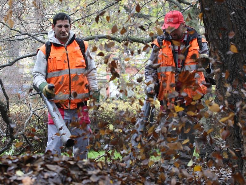 Úklid listí a spadaných větví provádí v městských obvodech „vysoutěžené“ firmy i pracovníci na veřejně prospěšné práce.