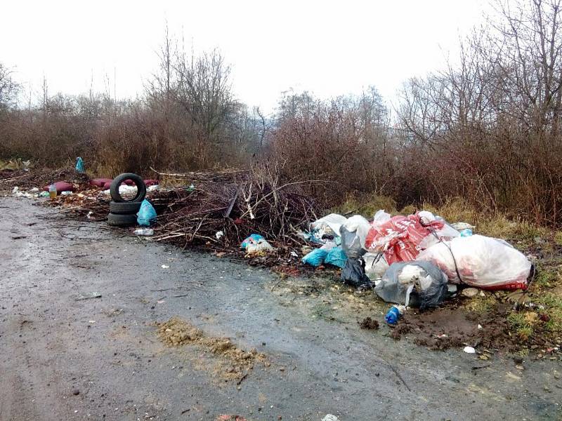 Pozemky u zahrádek v Hrbovicích hyzdí černé skládky. Chlumecká radnice je nestačí uklízet.